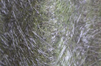 Smithincott fibreglass roof work